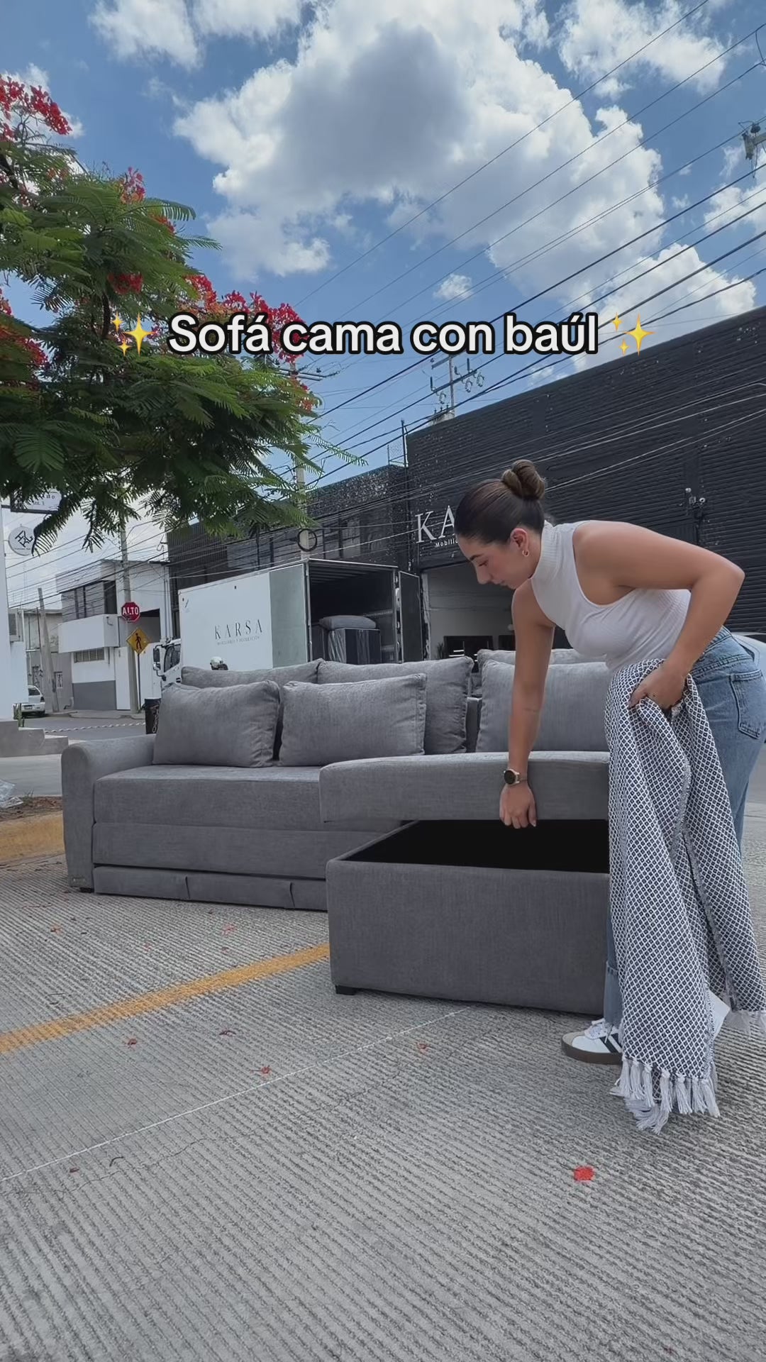Sofa cama esquinero con baúl